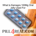 What Is Kamagra 100Mg Oral Jelly Used For viagra3